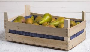 How to store pears at home