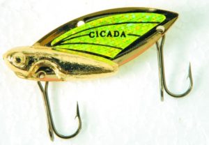 Karote Cicada