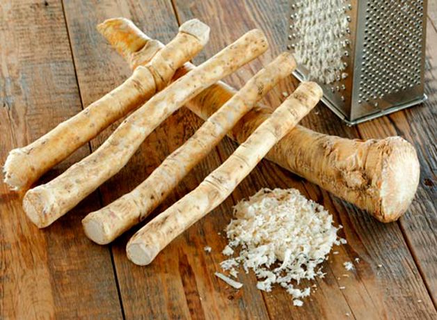 How to store horseradish for the winter at home