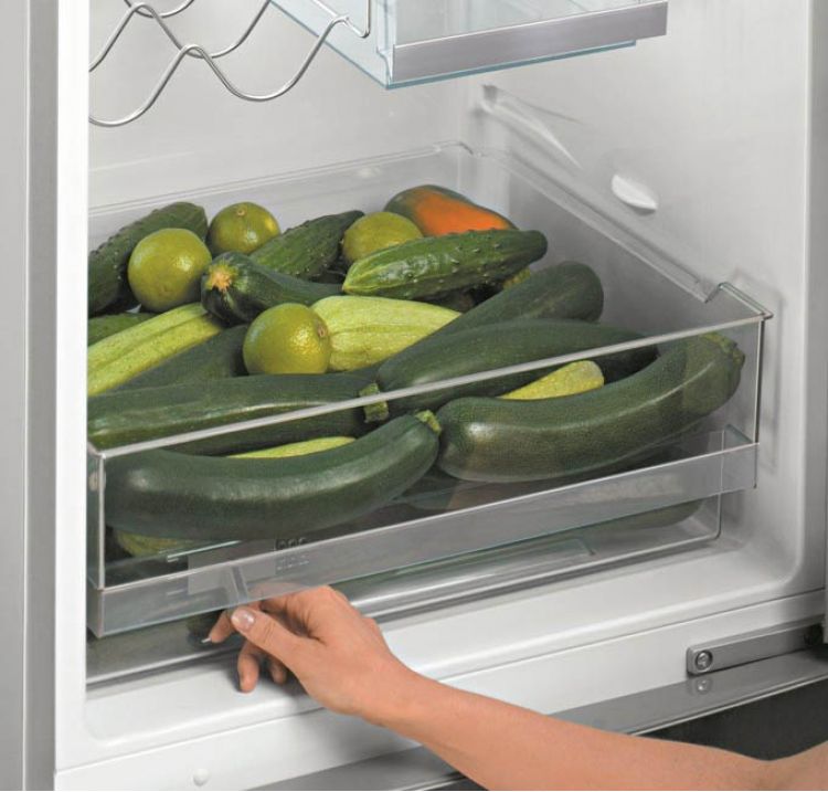 How to store zucchini in the refrigerator