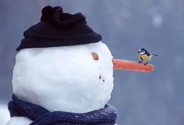 Wie man aus Schnee ein Schneemanngesicht macht