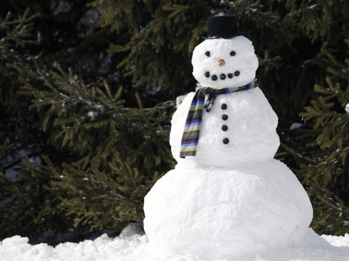 Comment faire un bonhomme de neige de la neige de vos propres mains