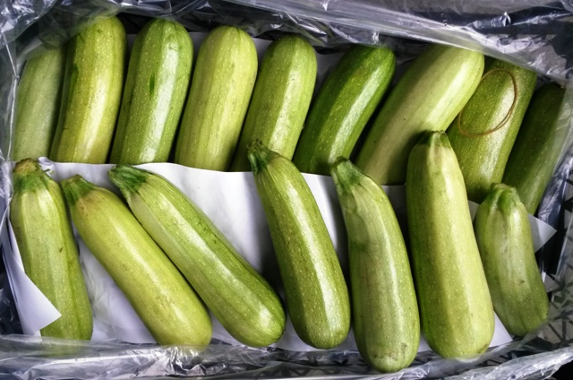 Come conservare le zucchine in casa in inverno
