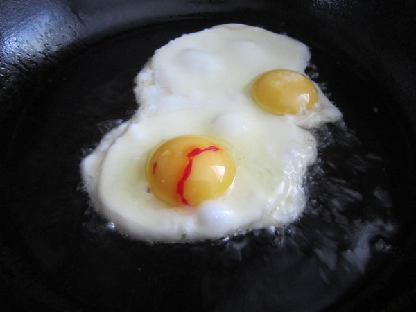 Blood in a chicken egg, can you eat
