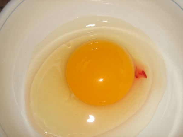 Узрок крви у пилећем јајету