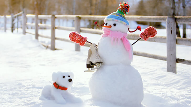 Sniegavīra drēbes no sniega