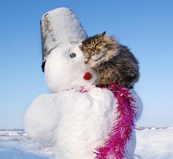 Schneemann mit einer Katze