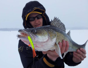 كل شيء عن صيد سمك العين رمادية فاتحة اللون على الموازن في الشتاء