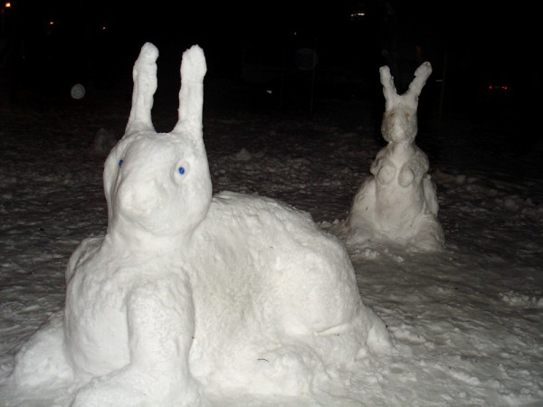 กระต่ายหิมะ DIY
