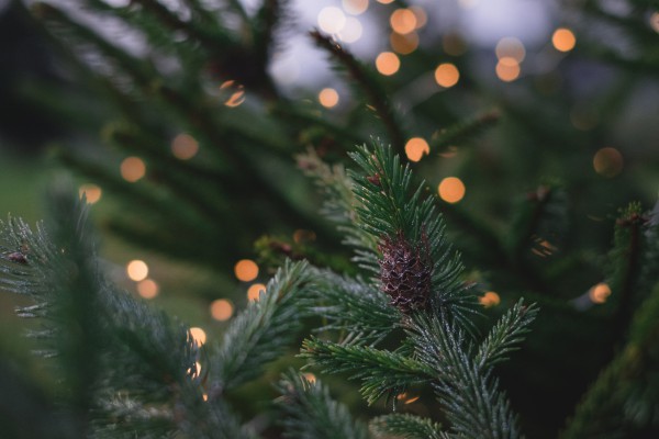 Ιδέες για διακόσμηση χριστουγεννιάτικου δέντρου