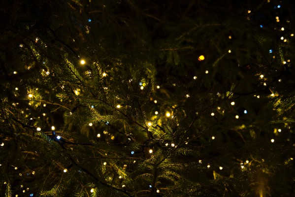 Paano maayos na palamutihan ang isang Christmas tree nang paunti-unti