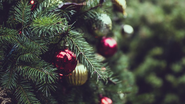 Como escolher a árvore de Natal certa para o Ano Novo