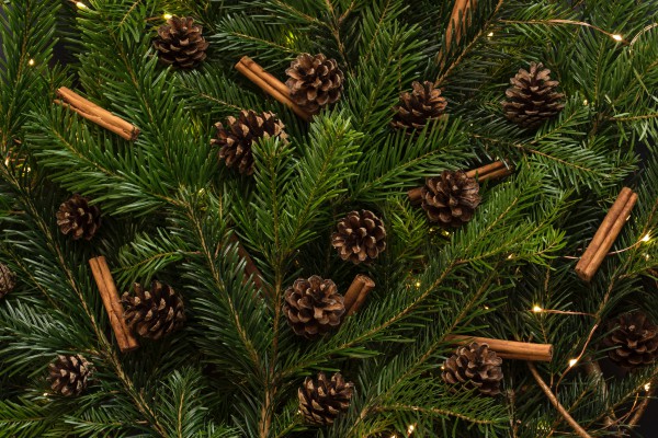 Ako vyzdobiť vianočný stromček na Nový rok 2018