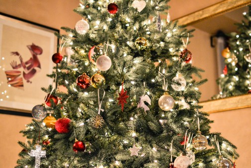 How to fix a live Christmas tree at home
