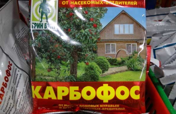 Karbofos from downy eaters
