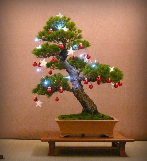 New Year's bonsai for room decoration