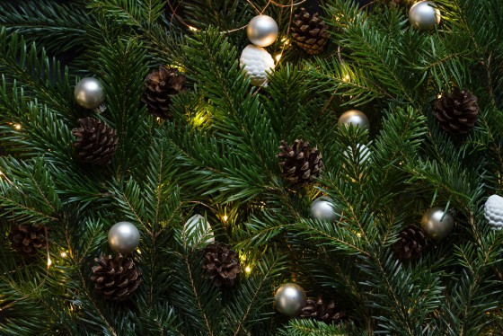 ¿Por qué es el árbol de Navidad que está decorado para el Año Nuevo?