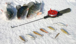 Tacle pour pêcher la perche en hiver avec une cuillère