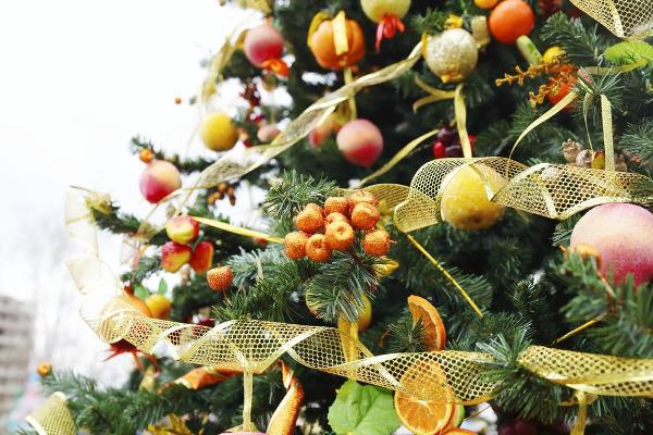 Decoración de árbol de navidad de fruta fresca