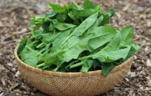 Inani spinach