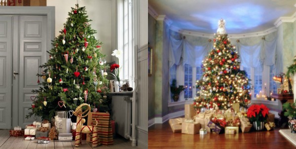 Výber vianočného stromčeka na Nový rok