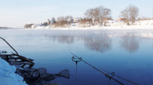 طعم الشتاء للدنيس عند الصيد في المياه المفتوحة
