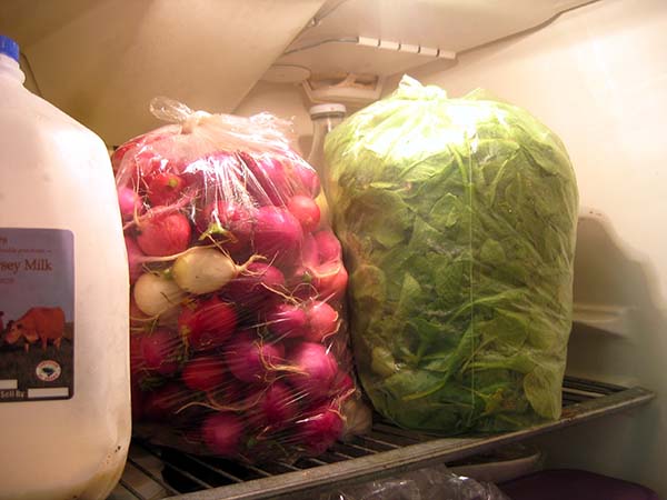 Oppbevaring av reddiker i kjøleskapet