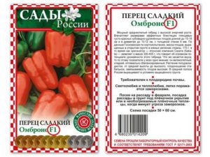 Πώς να επιλέξετε σπόρους πιπεριού