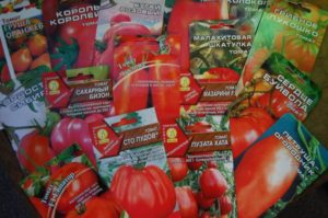 Sådan vælges tomatfrø til kimplanter