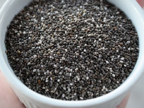 Tohumlardan yaban mersini yetiştirmenin özellikleri